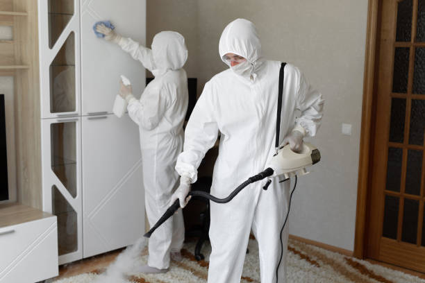 Best Residential Mold Removal  in Hannibal, MO