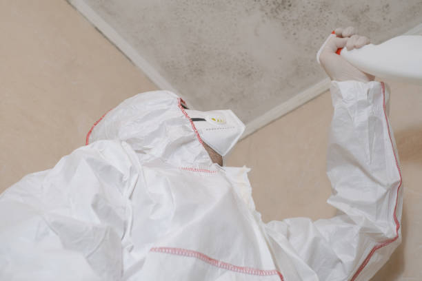 Best Mold Testing  in Hannibal, MO